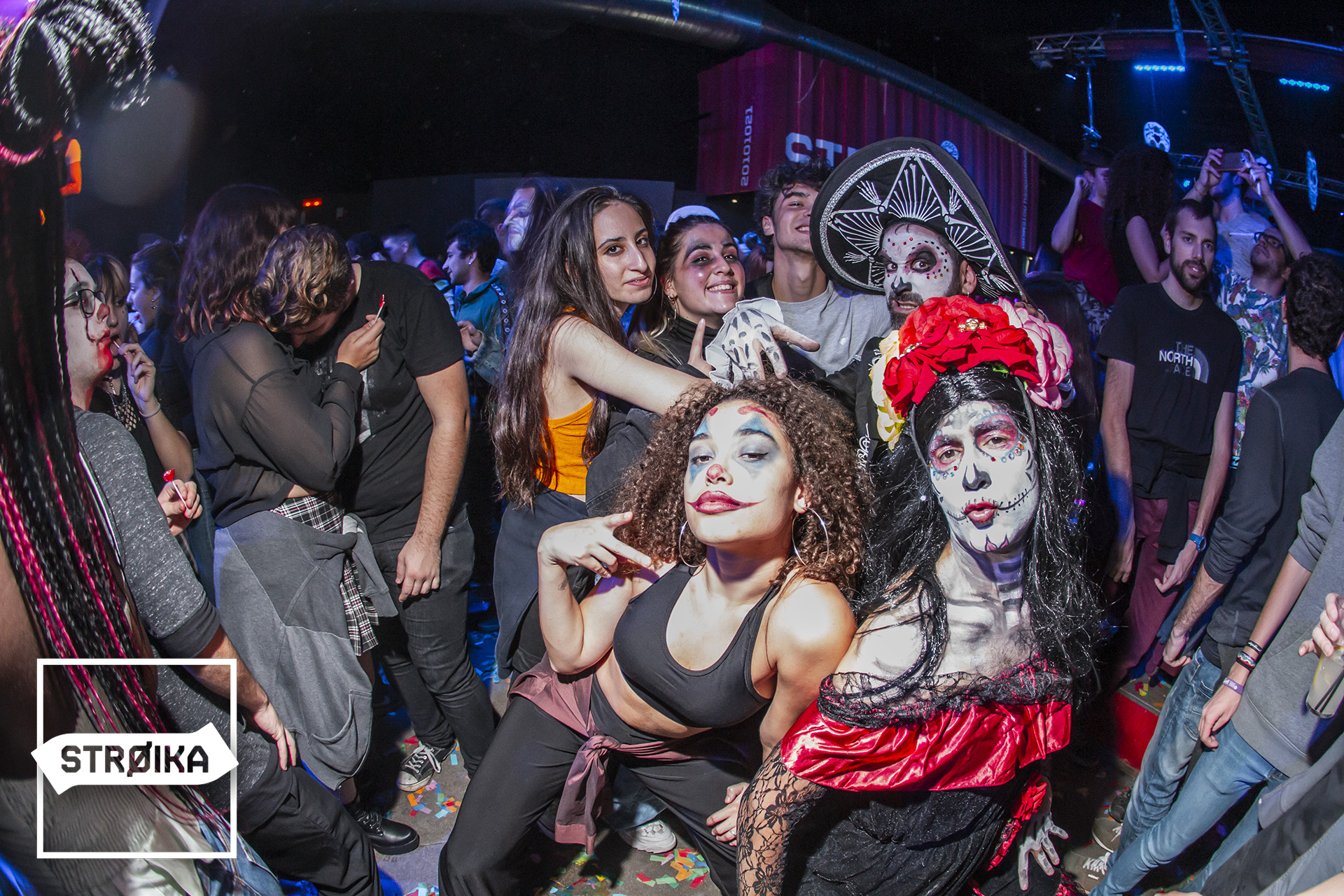 IMG 7972 copy còpia